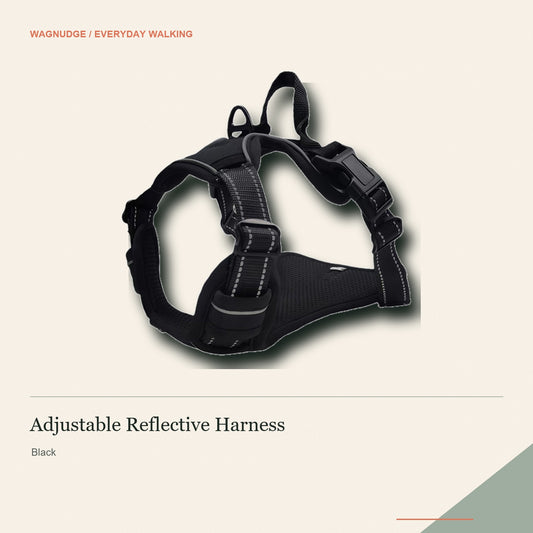 Black adjustable reflective dog harness on a warm neutral background