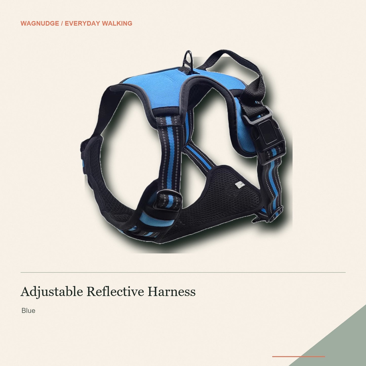 Blue adjustable reflective dog harness on a warm neutral background