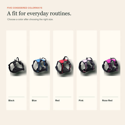 Five harness color options shown together: black, blue, red, pink and rose red
